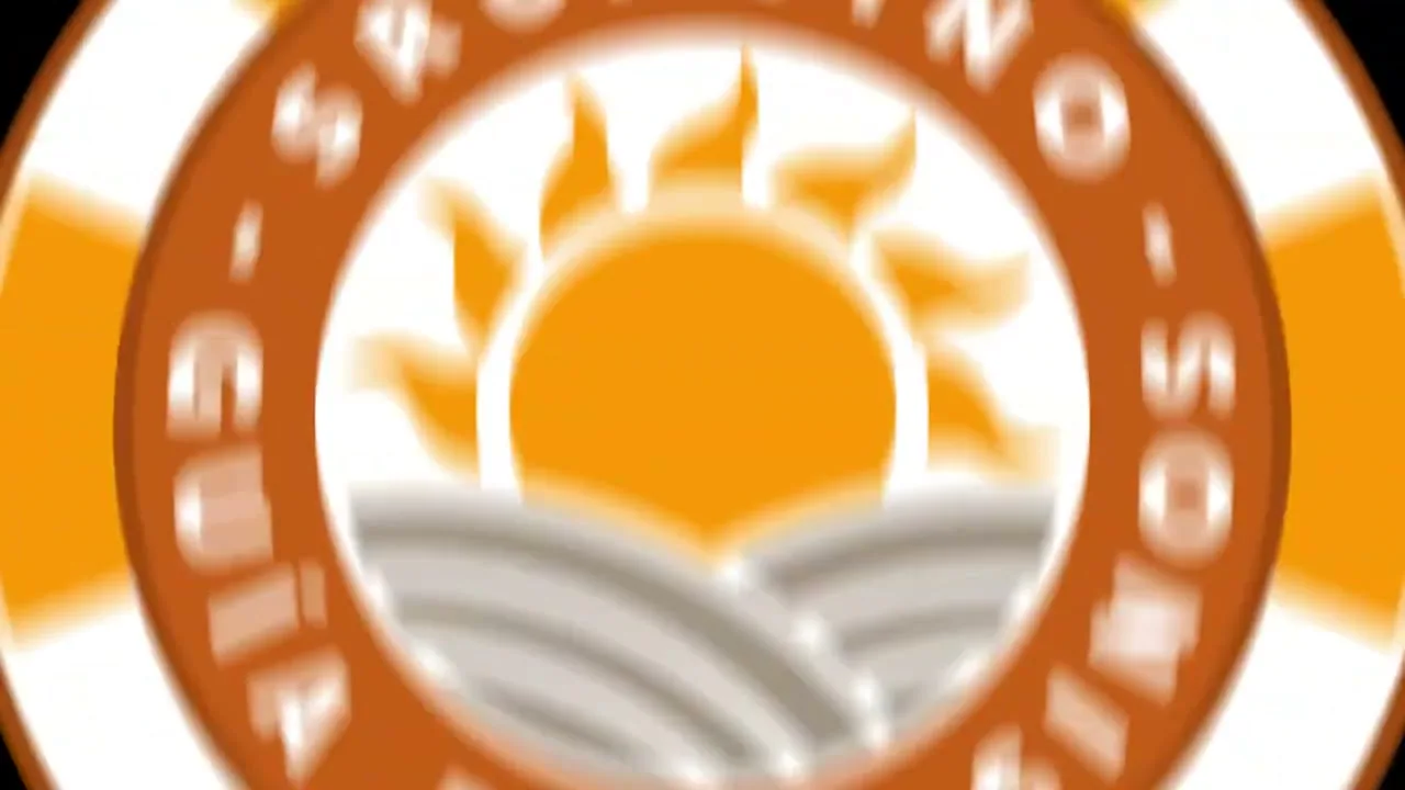 Programas VIP y high roller: bono y promociones